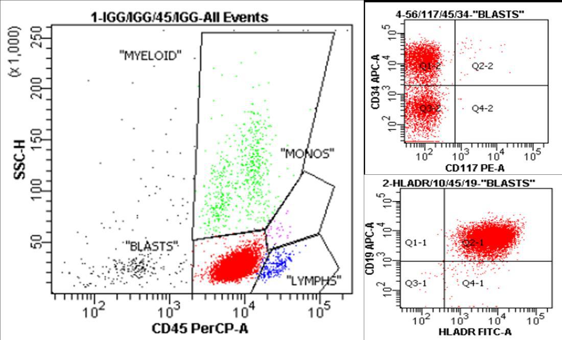 Flow cytometry